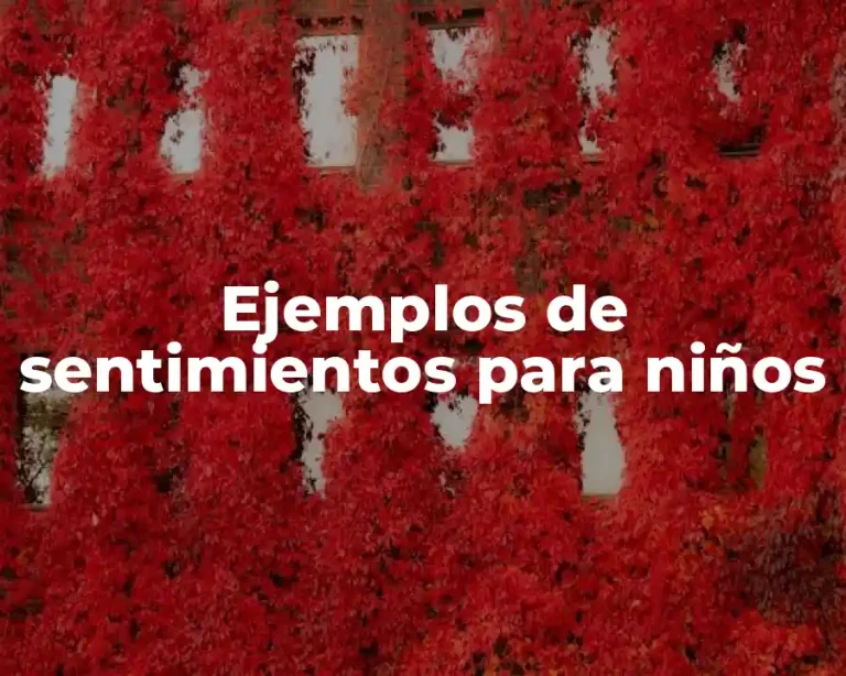 Ejemplos de sentimientos para niños