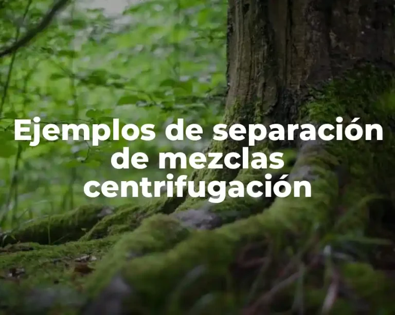 Ejemplos de separación de mezclas centrifugación
