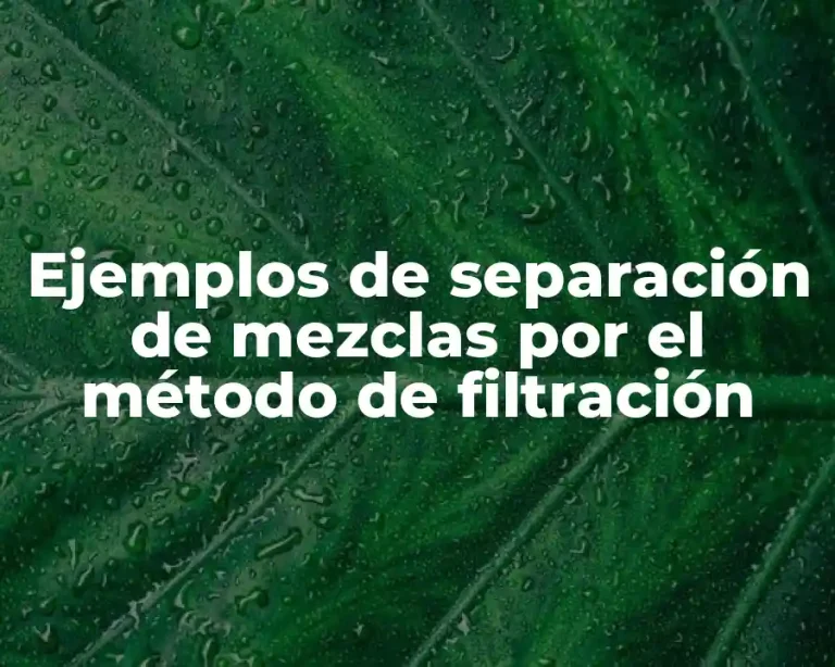 Ejemplos de separación de mezclas por el método de filtración