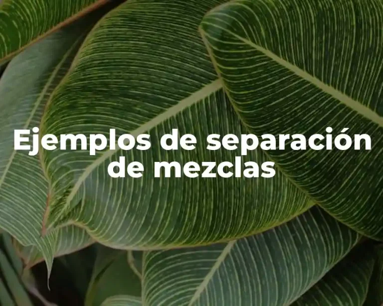Ejemplos de separación de mezclas