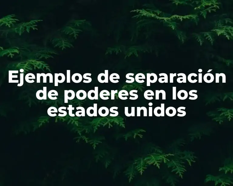 Ejemplos de separación de poderes en los estados unidos