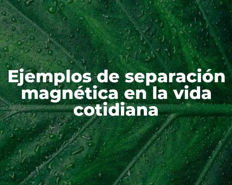 Ejemplos de separación magnética en la vida cotidiana