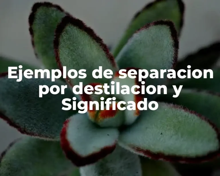 Ejemplos de separacion por destilacion y Significado