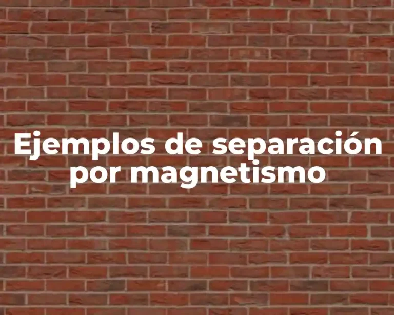 Ejemplos de separación por magnetismo