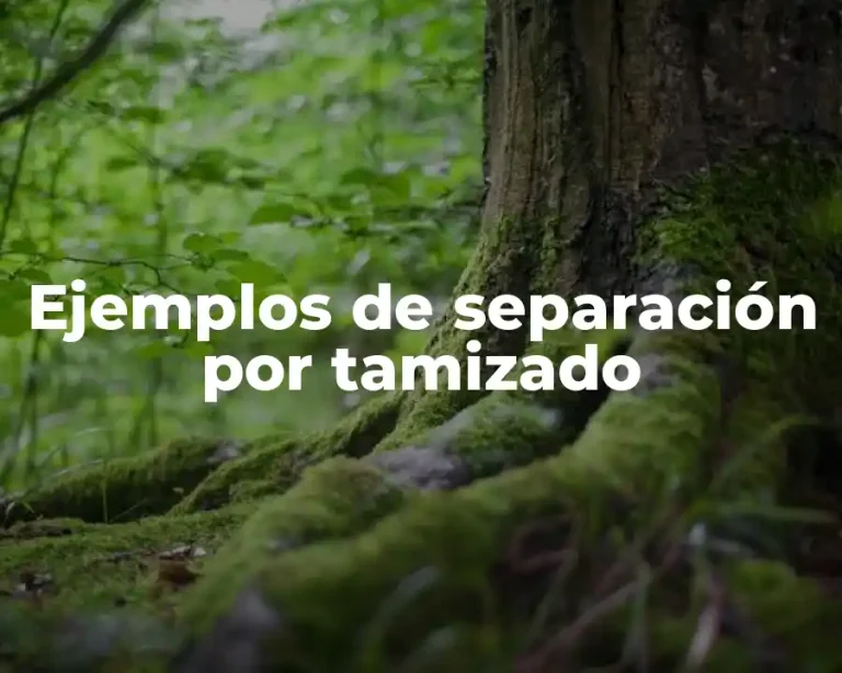 Ejemplos de separación por tamizado