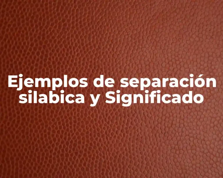 Ejemplos de separación silabica y Significado