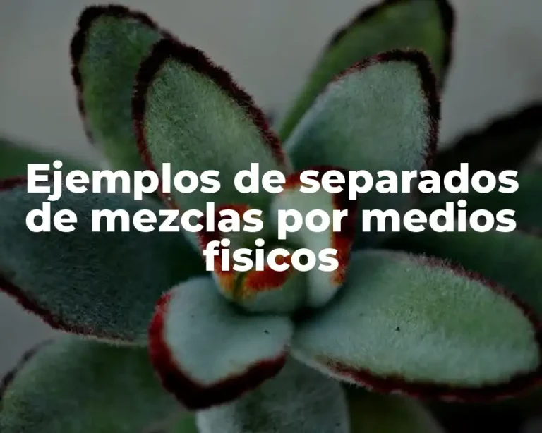 Ejemplos de separados de mezclas por medios fisicos