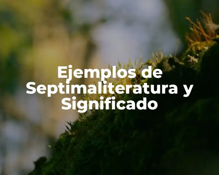 Ejemplos de Septimaliteratura y Significado