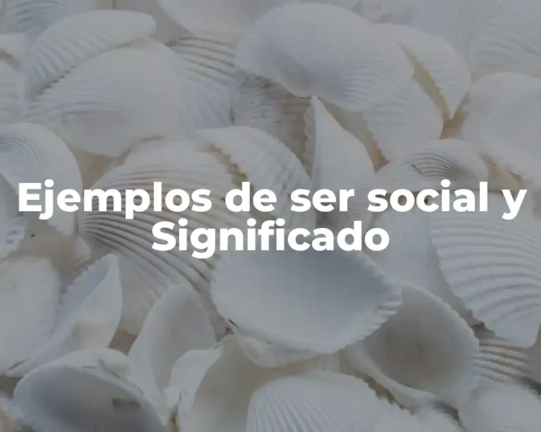 Ejemplos de ser social y Significado