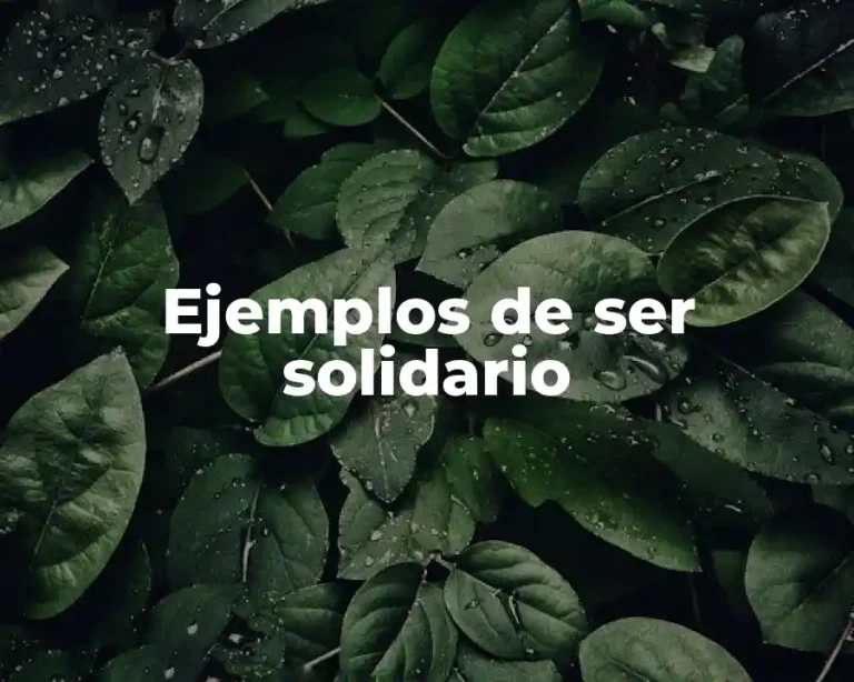 Ejemplos de ser solidario