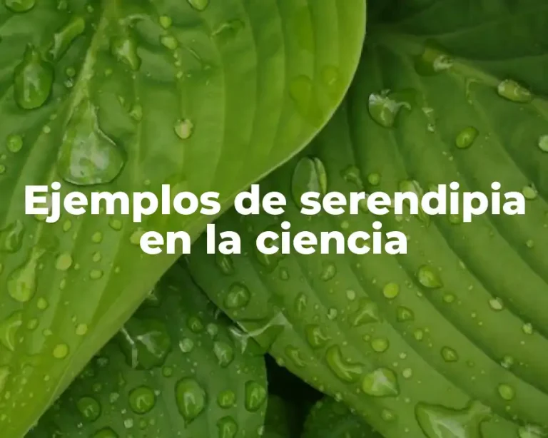 Ejemplos de serendipia en la ciencia