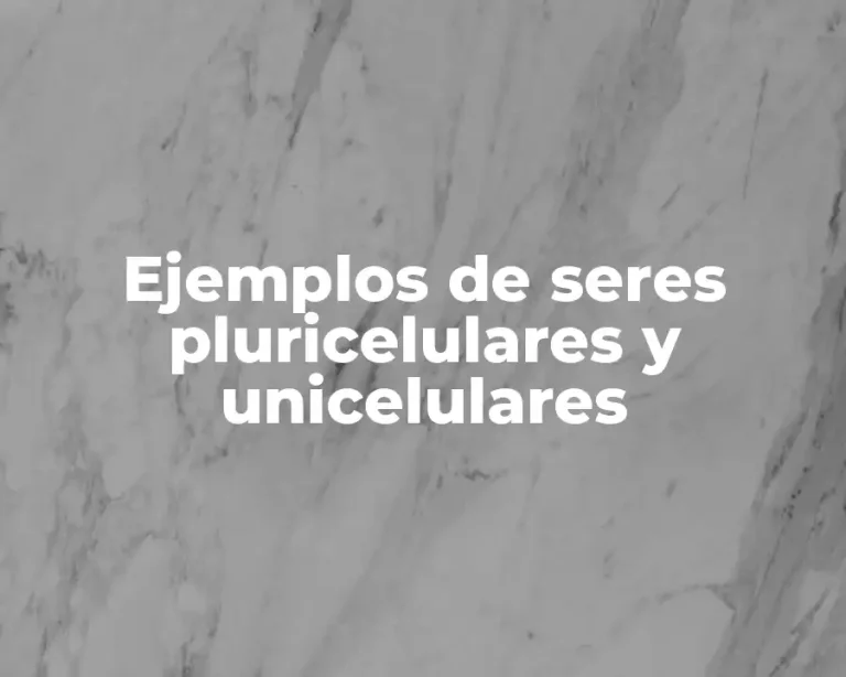 Ejemplos de seres pluricelulares y unicelulares