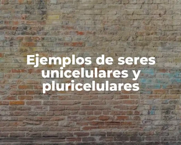 Ejemplos de seres unicelulares y pluricelulares