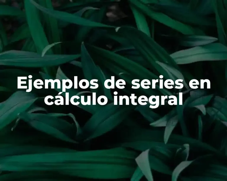 Ejemplos de series en cálculo integral