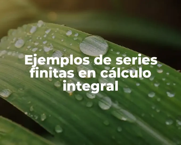 Ejemplos de series finitas en cálculo integral