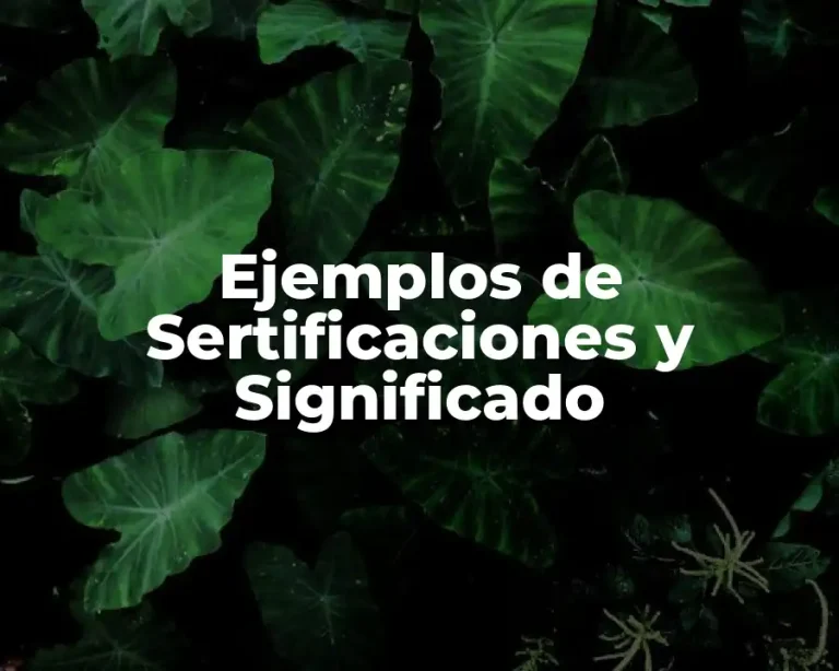 Ejemplos de Sertificaciones y Significado