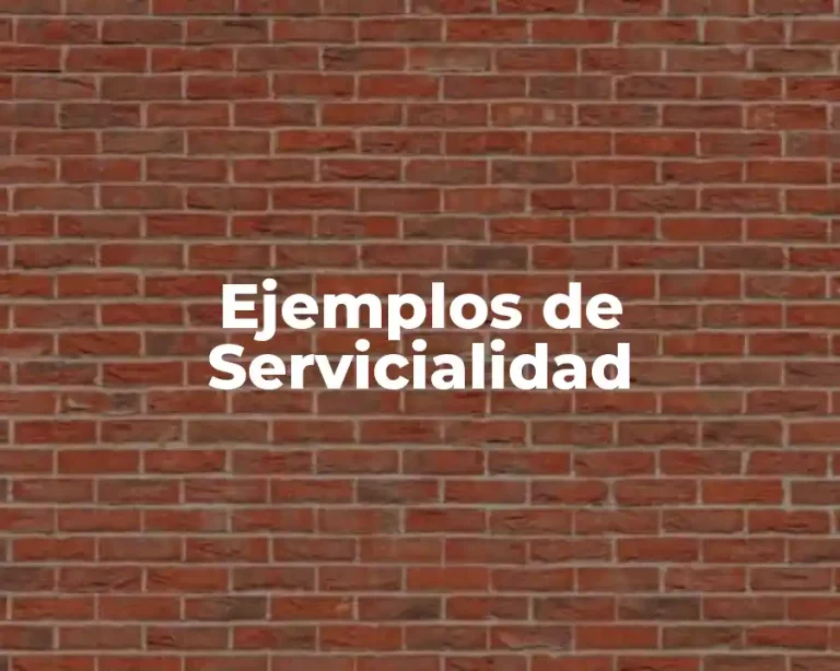 Ejemplos de Servicialidad