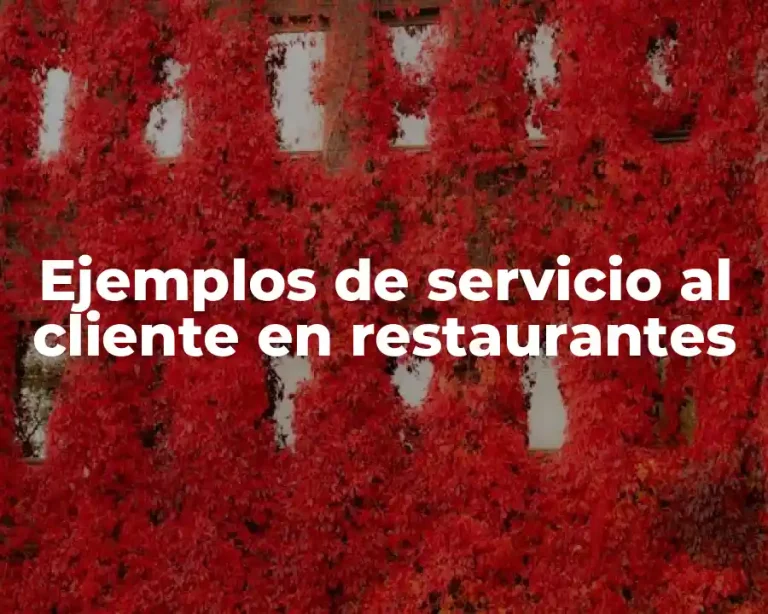 Ejemplos de servicio al cliente en restaurantes
