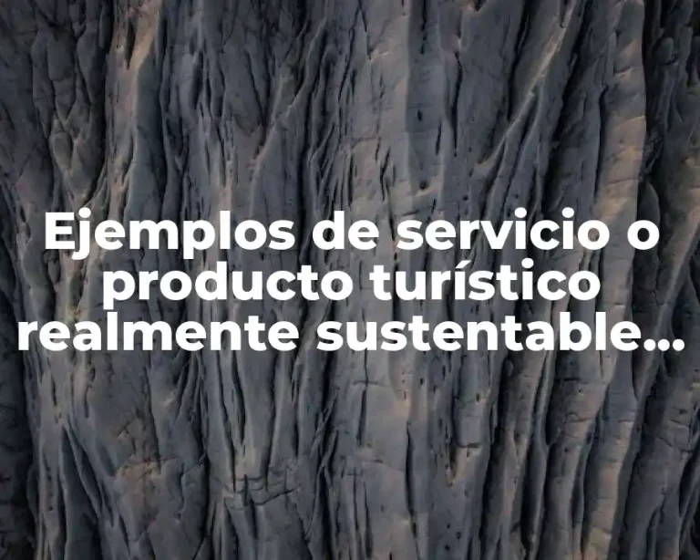 Ejemplos de servicio o producto turístico realmente sustentable en México