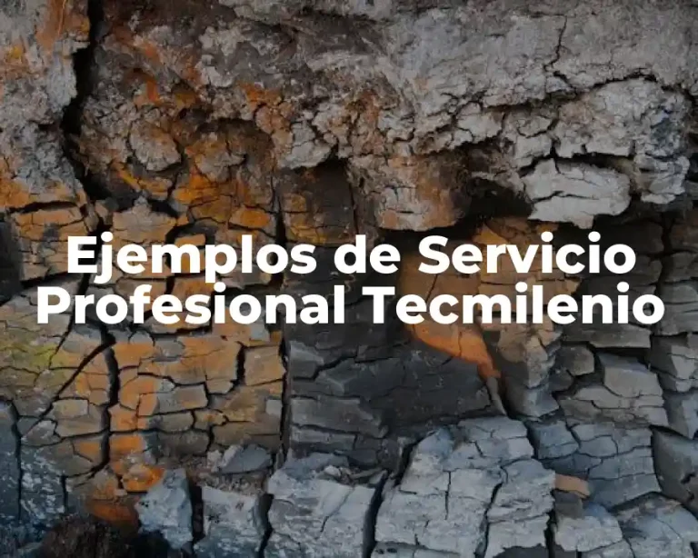 Ejemplos de Servicio Profesional Tecmilenio