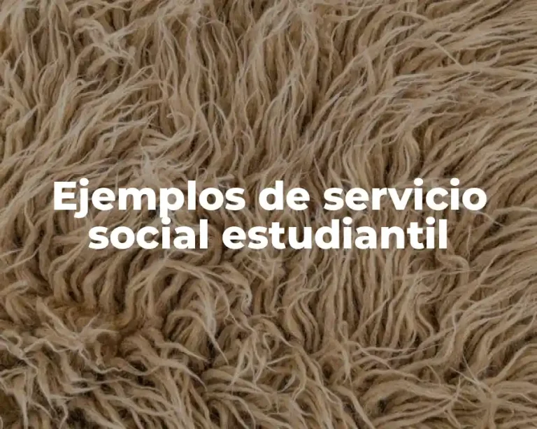 Ejemplos de servicio social estudiantil