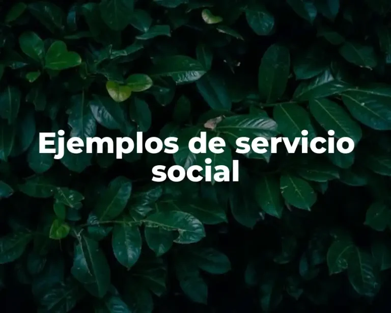Ejemplos de servicio social