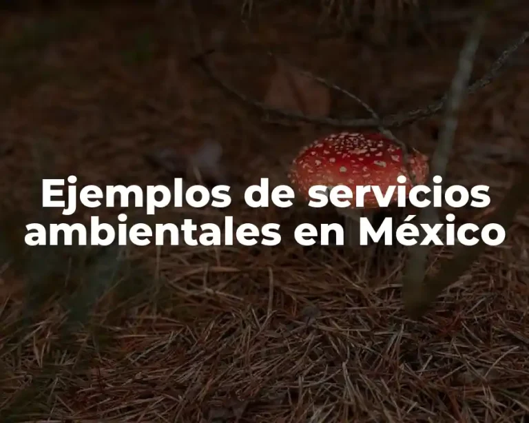 Ejemplos de servicios ambientales en México