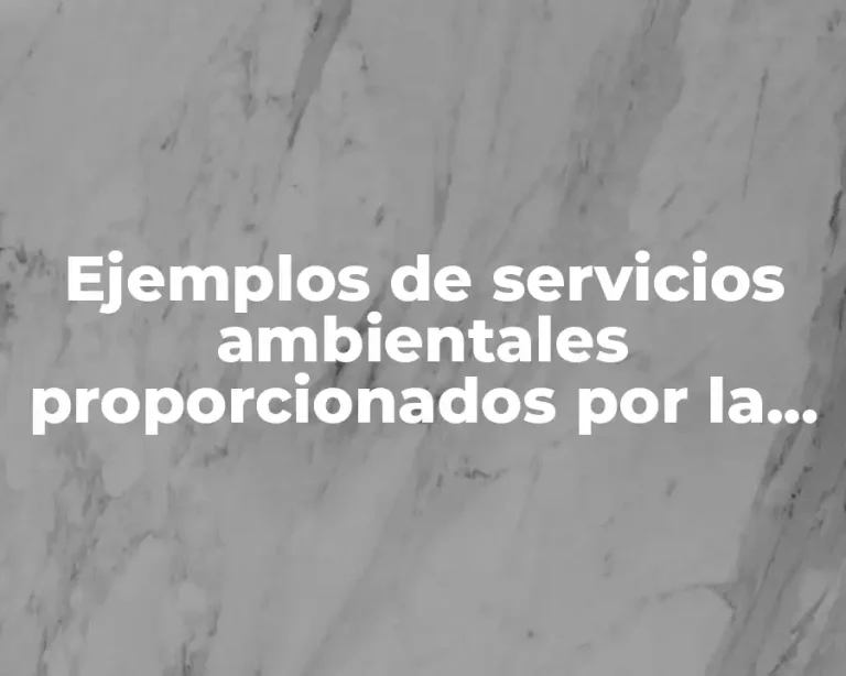 Ejemplos de servicios ambientales proporcionados por la naturaleza