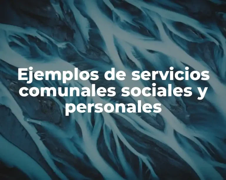 Ejemplos de servicios comunales sociales y personales