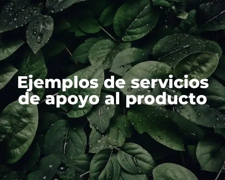 Ejemplos de servicios de apoyo al producto