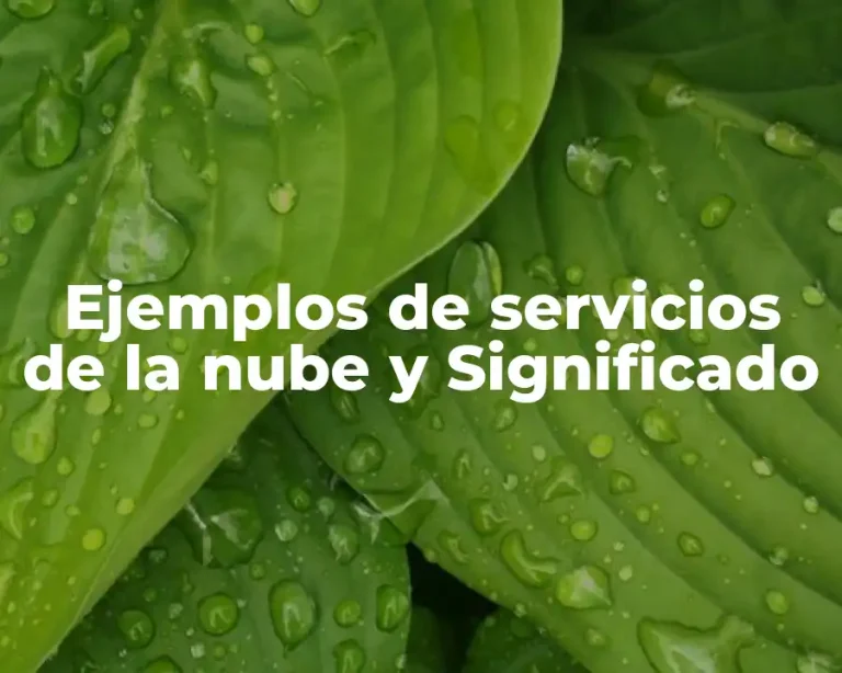 Ejemplos de servicios de la nube y Significado