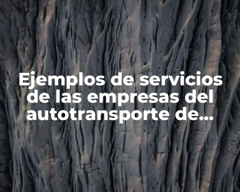 Ejemplos de servicios de las empresas del autotransporte de pasajeros y Significado