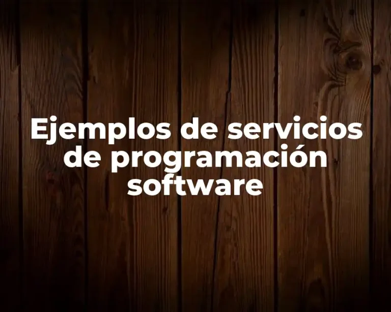 Ejemplos de servicios de programación software