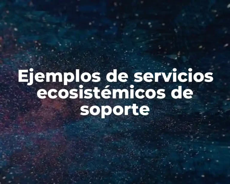 Ejemplos de servicios ecosistémicos de soporte