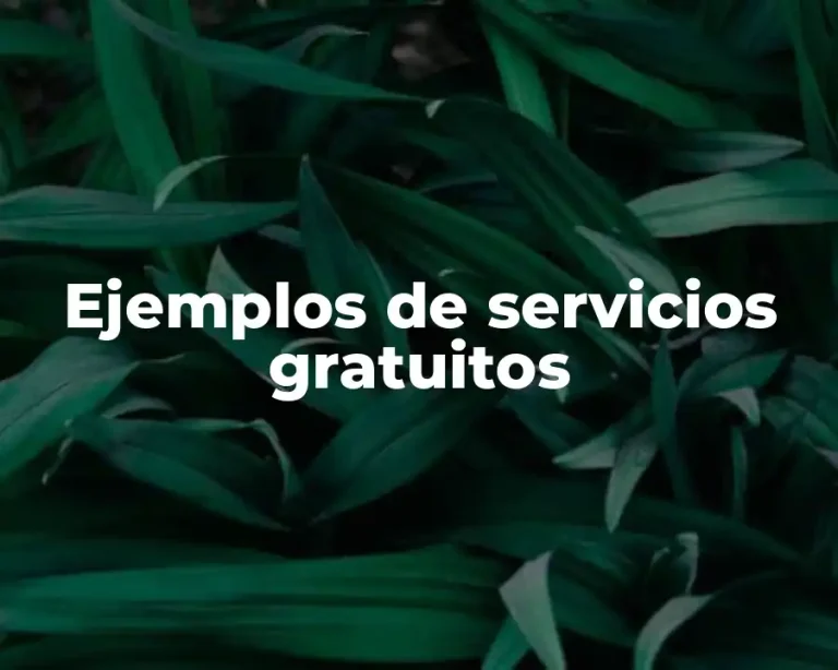 Ejemplos de servicios gratuitos