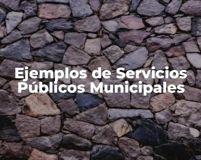 Ejemplos de Servicios Públicos Municipales