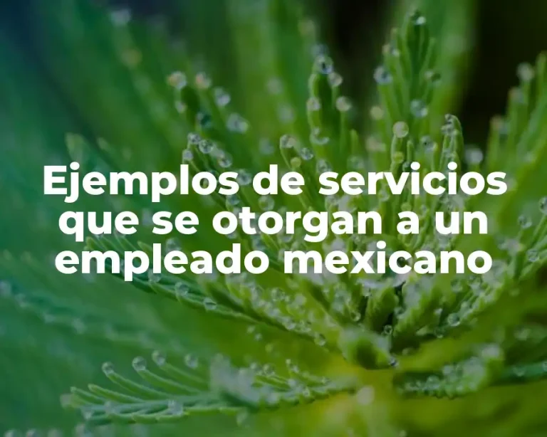 Ejemplos de servicios que se otorgan a un empleado mexicano
