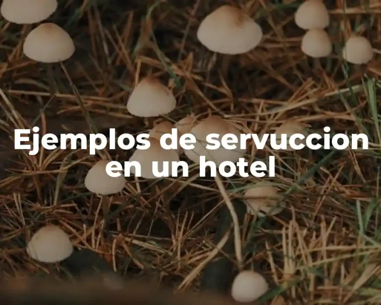 Ejemplos de servuccion en un hotel
