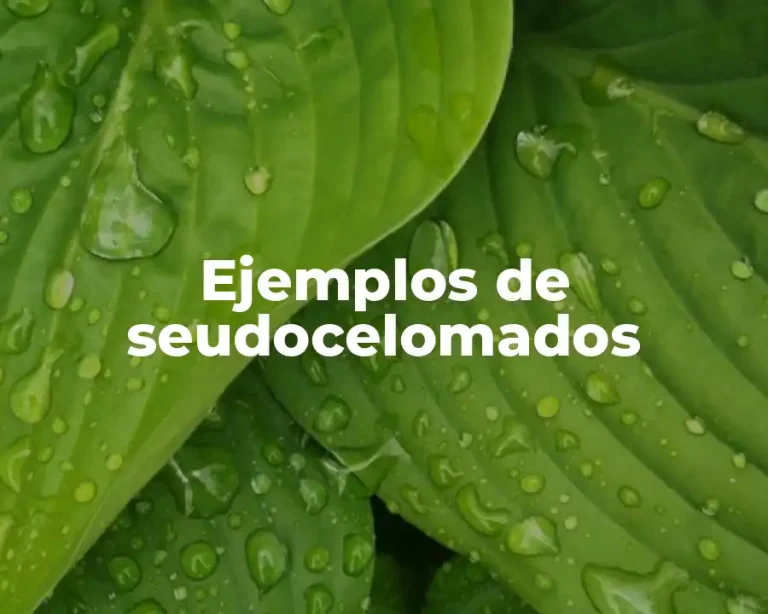Ejemplos de seudocelomados