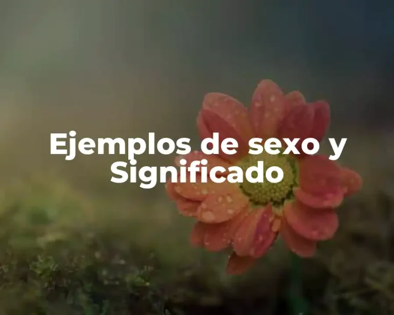 Ejemplos de sexo y Significado