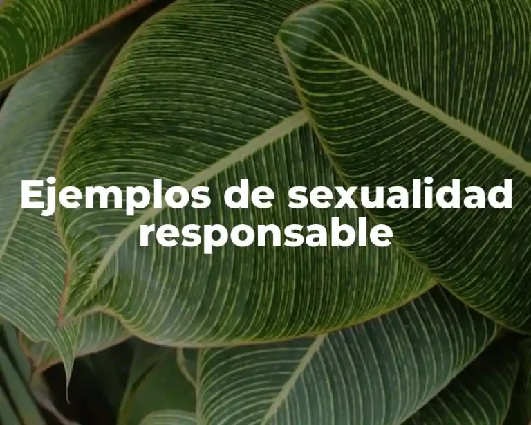 Ejemplos de sexualidad responsable