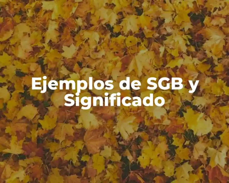 Ejemplos de SGB y Significado