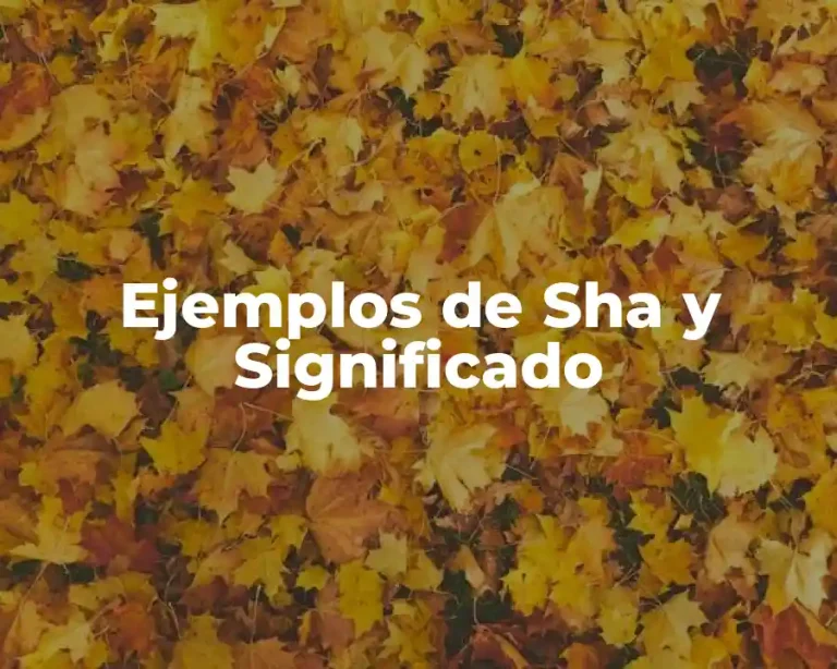 Ejemplos de Sha y Significado