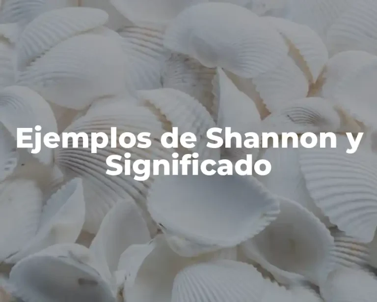 Ejemplos de Shannon y Significado