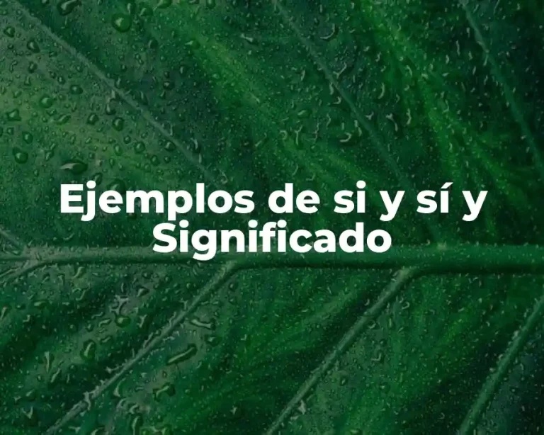 Ejemplos de si y sí y Significado