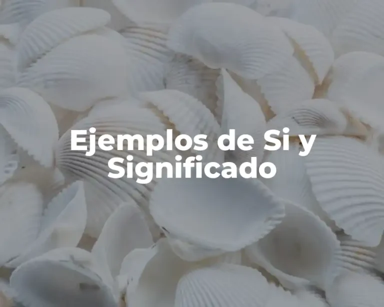 Ejemplos de Si y Significado