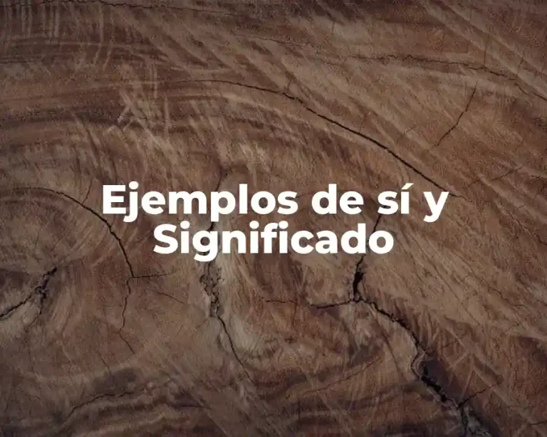 Ejemplos de sí y Significado