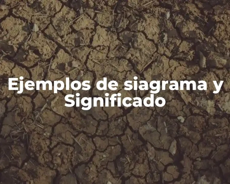 Ejemplos de siagrama y Significado