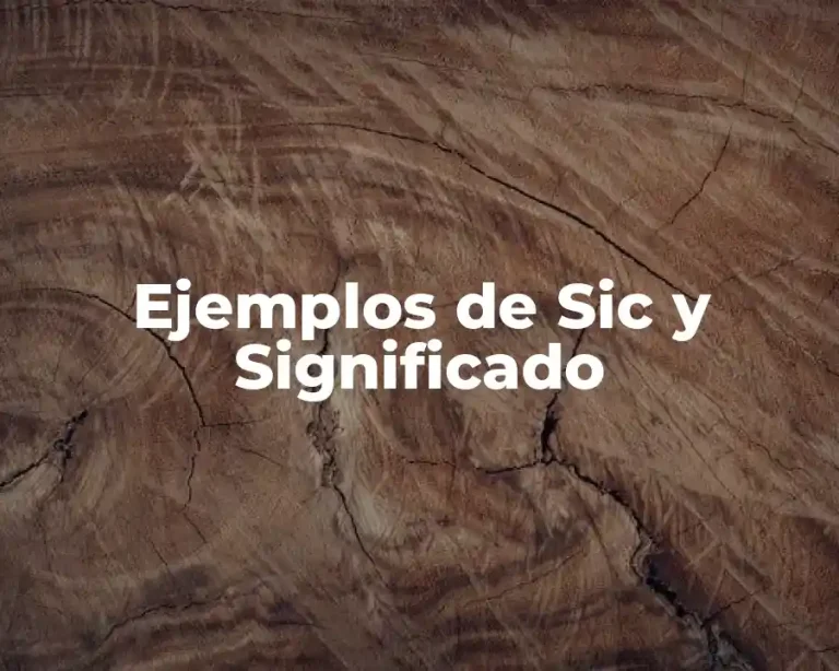 Ejemplos de Sic y Significado