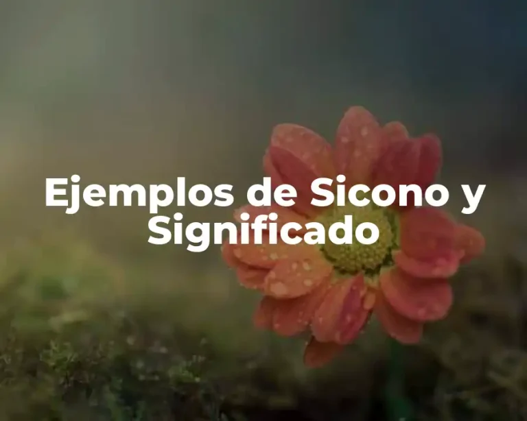 Ejemplos de Sicono y Significado